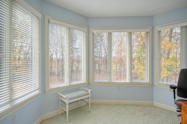 living area with light carpet