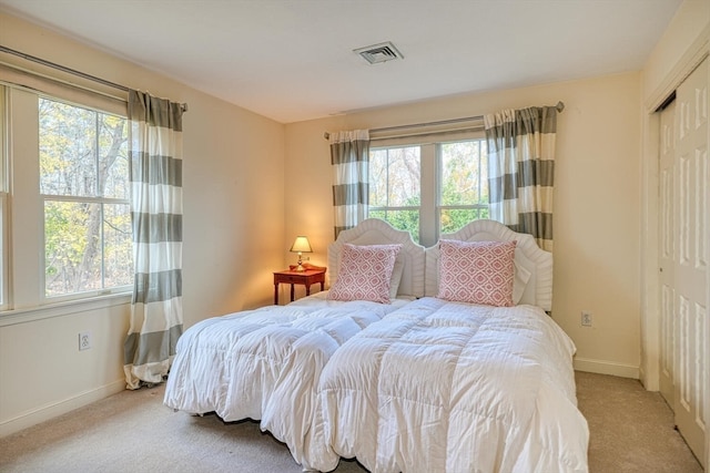 bedroom featuring a closet, multiple windows, and light colored carpet