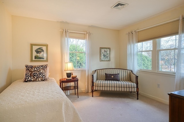 bedroom with carpet flooring