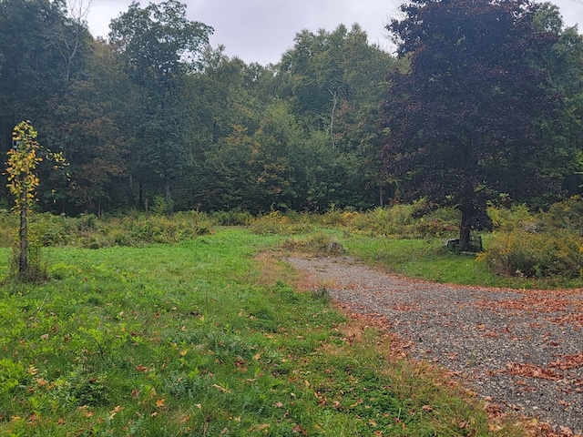 161 Delargy Rd, Hardwick MA, 01037 land for sale