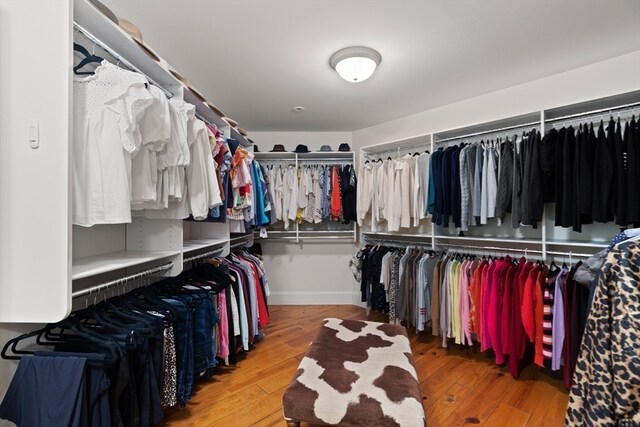 spacious closet featuring light hardwood / wood-style flooring