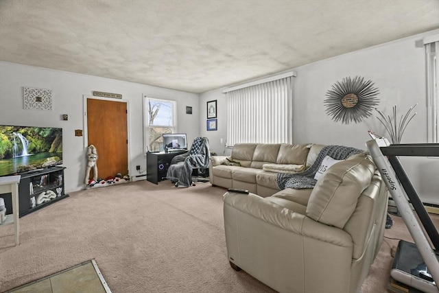 10 Gleason Rd, Shrewsbury, MA 01545 - view of carpeted living area