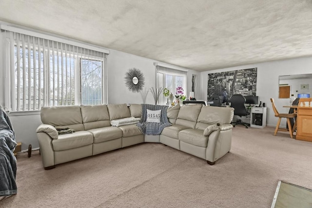 10 Gleason Rd, Shrewsbury, MA 01545 - living area with a desk and carpet floors