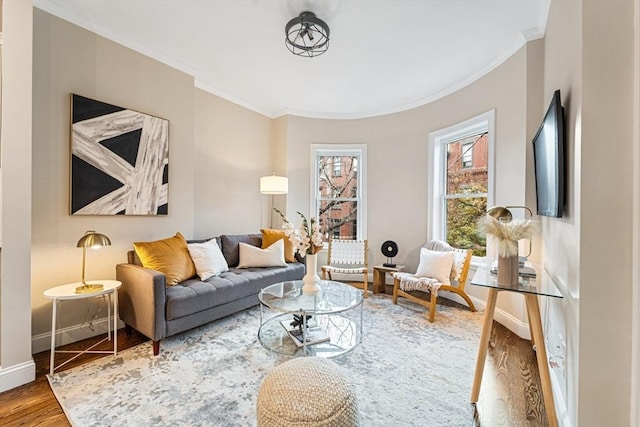 living room featuring crown molding and wood-type flooring