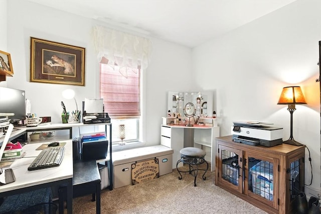 office area featuring carpet floors