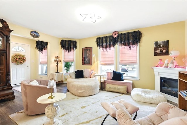 living area with a glass covered fireplace and wood finished floors