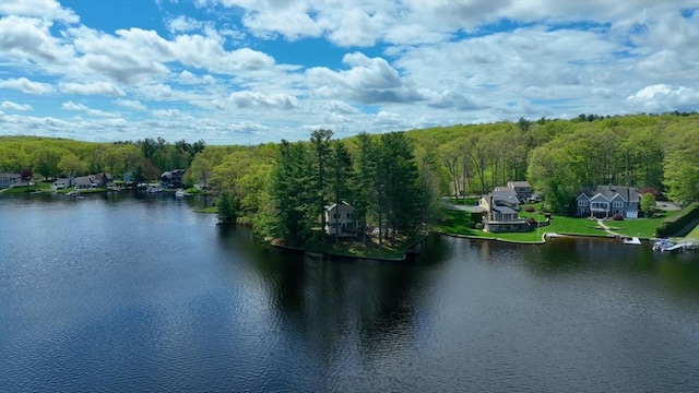 water view with a forest