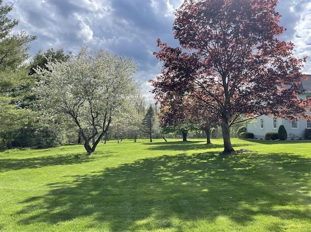 33 Whittemore St, Leicester, MA 01524 - view of grassy yard