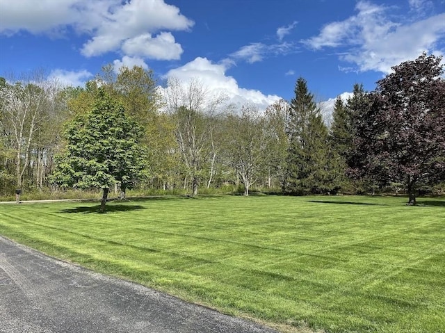 33 Whittemore St, Leicester, MA 01524 - view of home's community featuring a lawn