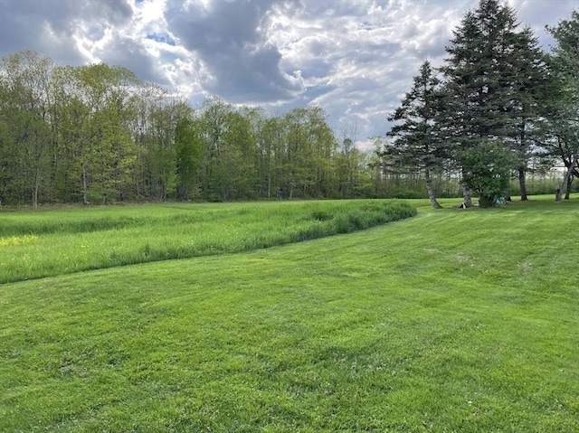 33 Whittemore St, Leicester, MA 01524 - view of green lawn