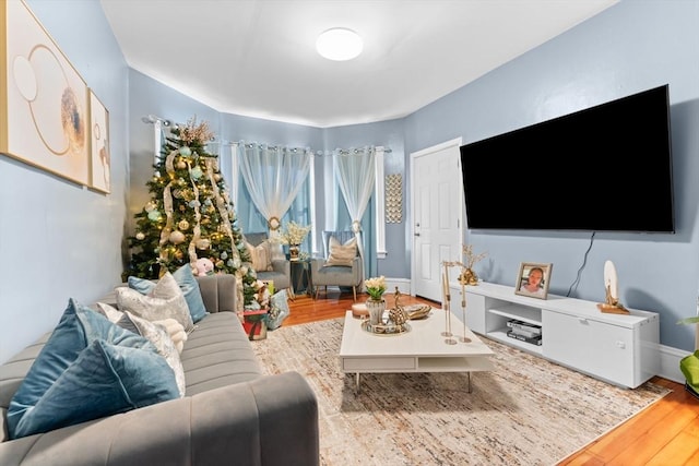 living room with wood-type flooring