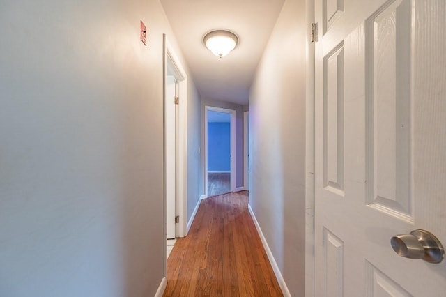 3 Sears Ave, Webster, MA 01570 - hall with light wood finished floors and baseboards