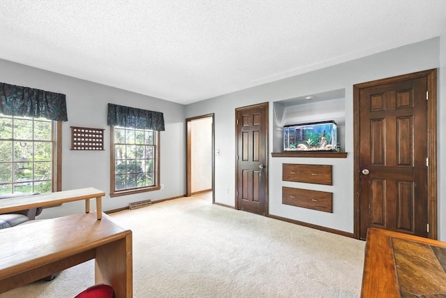 interior space with carpet floors, a textured ceiling, and baseboards