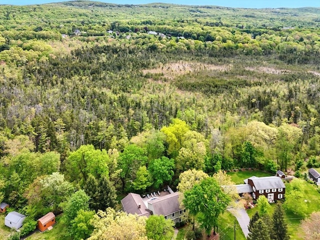 drone / aerial view of a forest