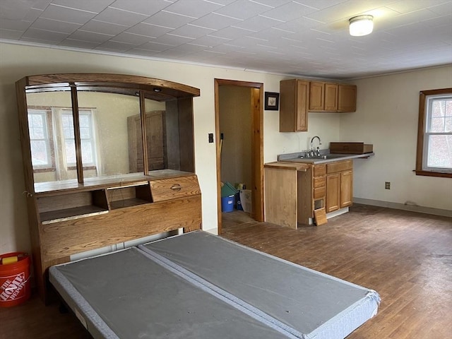 game room with sink and dark hardwood / wood-style flooring