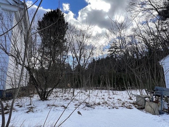 view of yard layered in snow