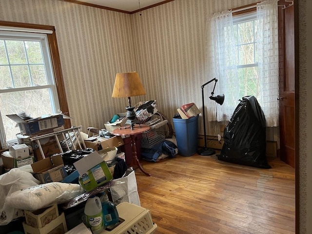 miscellaneous room featuring hardwood / wood-style flooring, ornamental molding, and plenty of natural light