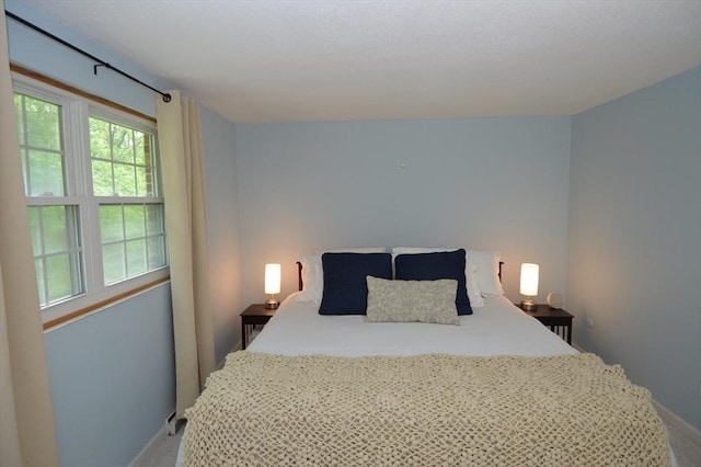 17 Bayberry Cir Unit 17, Millis, MA 02054 - bedroom featuring carpet floors and baseboards