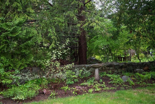 88 Round Hill Rd Unit 4, Northampton, MA 01060 - view of yard