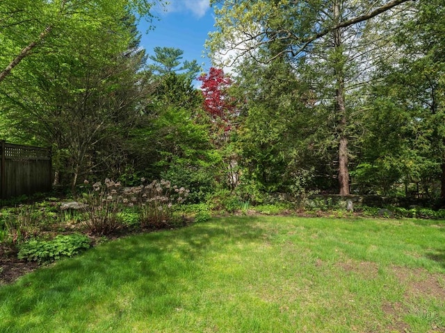 88 Round Hill Rd Unit 4, Northampton, MA 01060 - view of yard