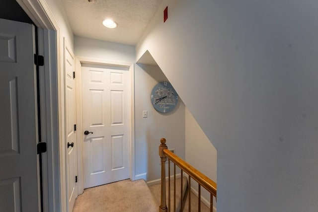 79 Steeplechase Ct Unit 79, Haverhill, MA 01832 - hall featuring an upstairs landing, light carpet, baseboards, and a textured ceiling