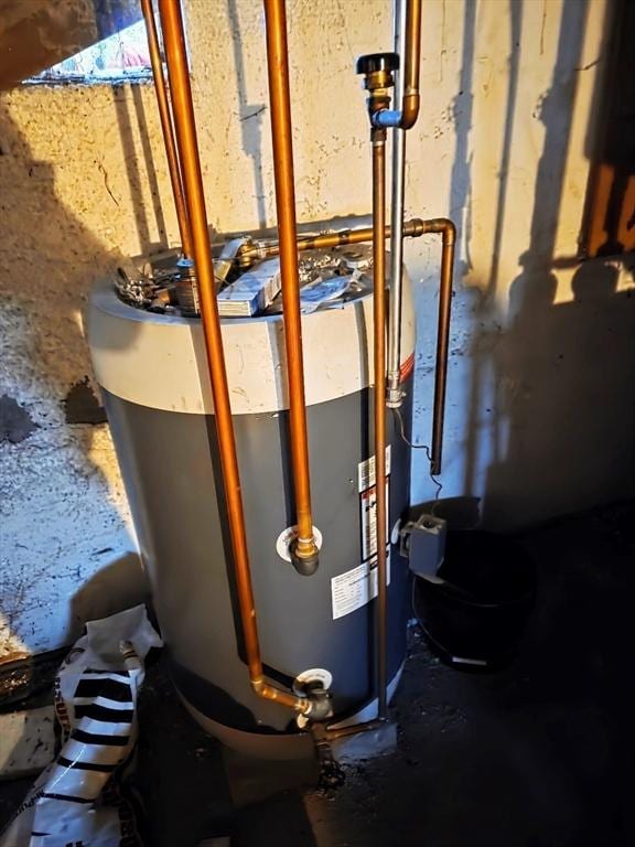 utility room with gas water heater