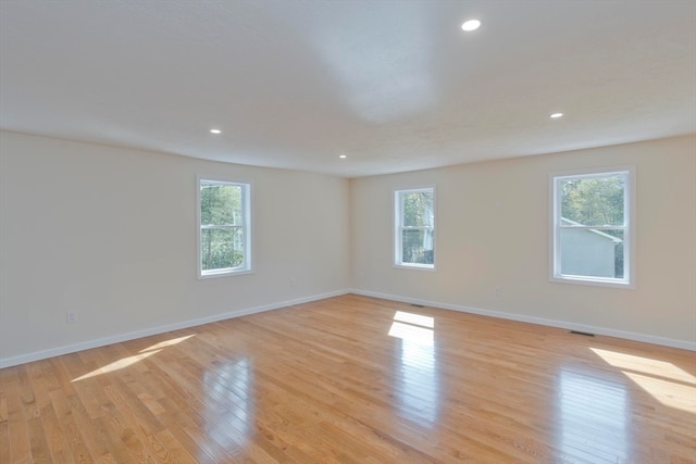 empty room featuring light hardwood / wood-style floors and a wealth of natural light