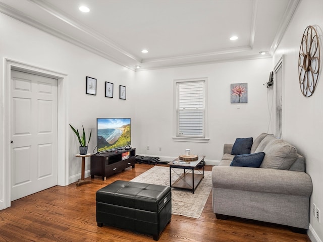 living room with a tray ceiling and hardwood / wood-style floors