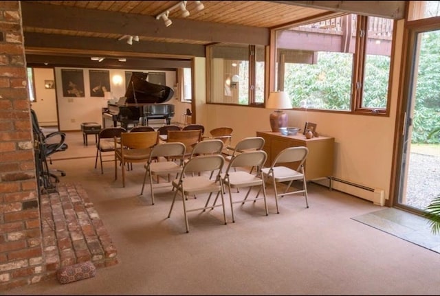 94 Bingham Rd, Carlisle, MA 01741 - sunroom / solarium featuring a baseboard radiator, track lighting, and beam ceiling