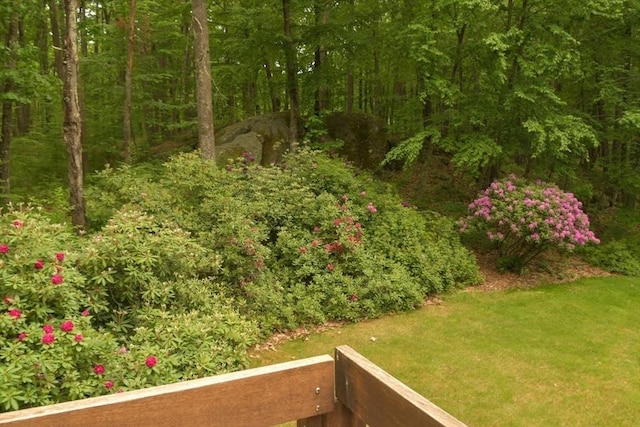 94 Bingham Rd, Carlisle, MA 01741 - view of grassy yard