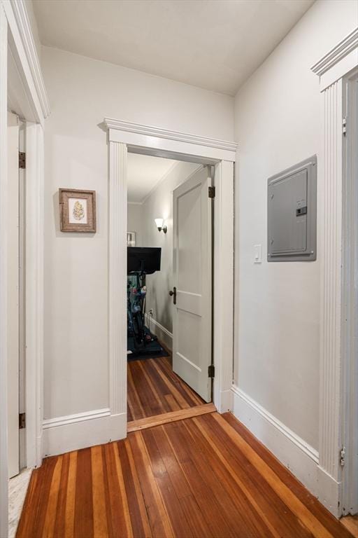69 Bradfield Ave Unit 1, Boston, MA 02131 - hall with electric panel and hardwood / wood-style flooring