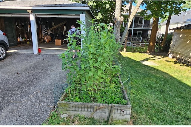 69 Bradfield Ave Unit 1, Boston, MA 02131 - view of green lawn featuring an outbuilding