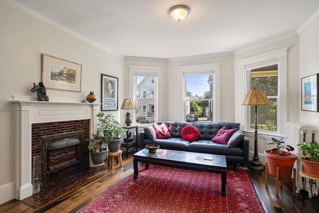 69 Bradfield Ave Unit 1, Boston, MA 02131 - living area featuring wood finished floors, crown molding, radiator, and a fireplace