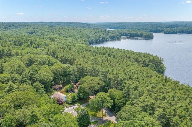 75 Winter St, Hopkinton, MA 01748 - aerial view of a forest and a large body of water