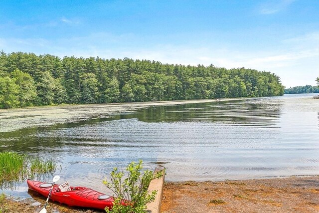 75 Winter St, Hopkinton, MA 01748 - water view with a forest