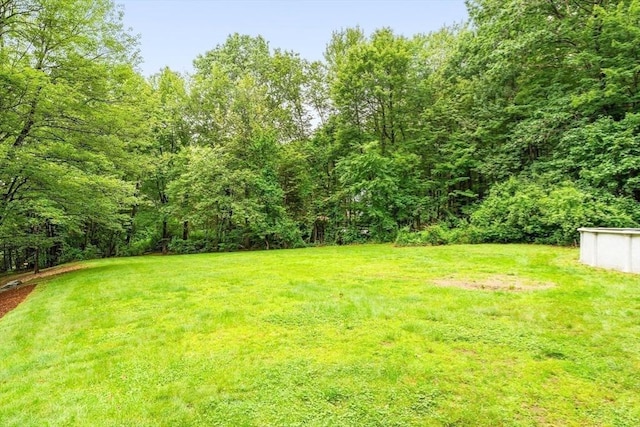 7 Evergreen Cir, Sterling, MA 01564 - view of grassy yard with a wooded view