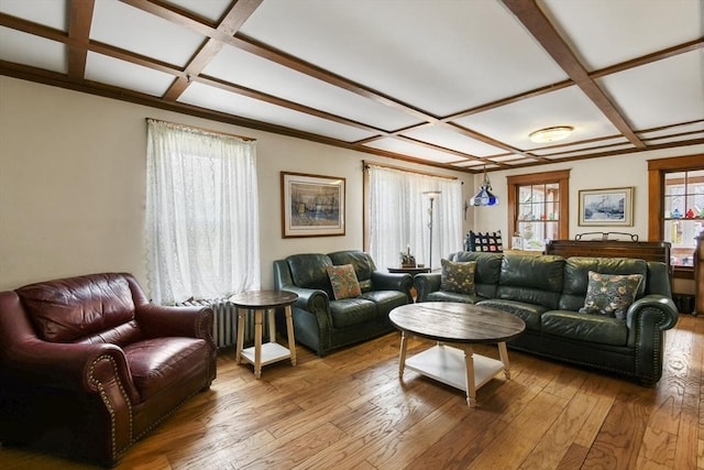 127 Carson Ave, Dalton, MA 01226 - living room with coffered ceiling, hardwood / wood-style floors, and beamed ceiling