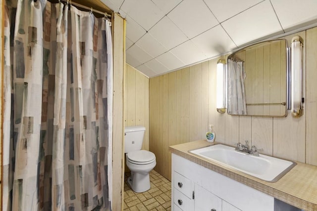 127 Carson Ave, Dalton, MA 01226 - bathroom featuring toilet, vanity, wooden walls, and curtained shower