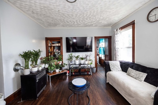 living room featuring a textured ceiling, dark hardwood / wood-style flooring, and ornamental molding