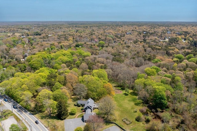 bird's eye view