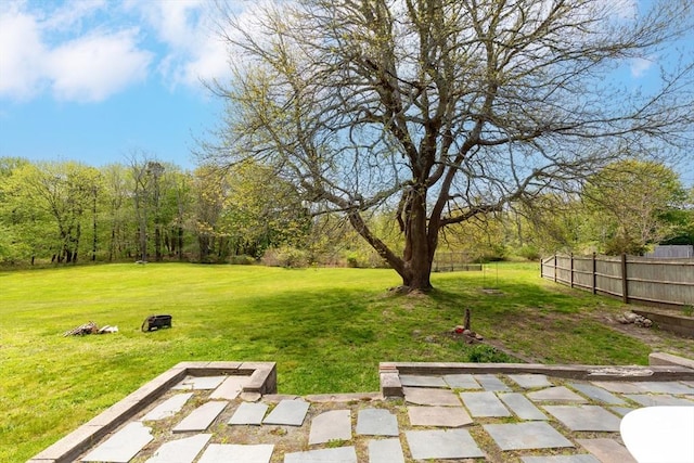 view of yard featuring a patio