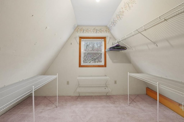 184 Burlingame Rd, Charlton, MA 01507 - spacious closet with carpet flooring and vaulted ceiling