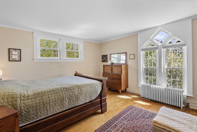 bedroom featuring radiator, light wood-style flooring, and crown molding