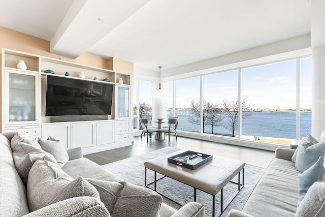 living room featuring a water view and wood finished floors