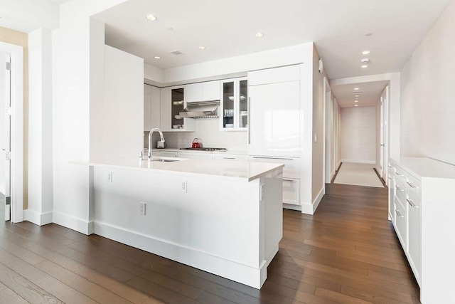 kitchen with dark wood-style floors, a peninsula, a sink, glass insert cabinets, and under cabinet range hood