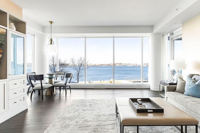 living area with dark wood-style floors and a water view