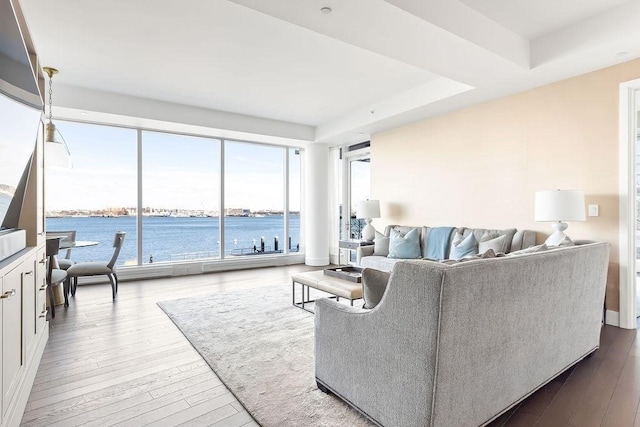 living room featuring a tray ceiling, wood-type flooring, and a water view