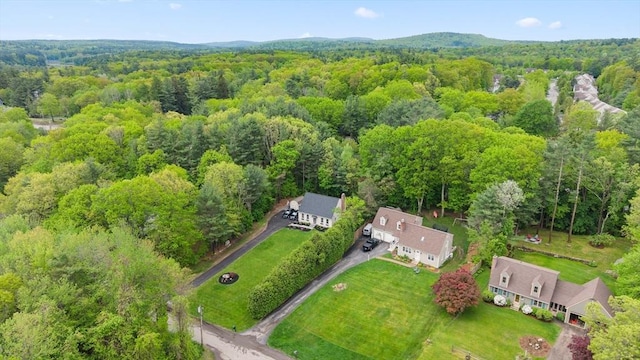 10 Old Broad St, Holden, MA 01522 - aerial view of a heavily wooded area