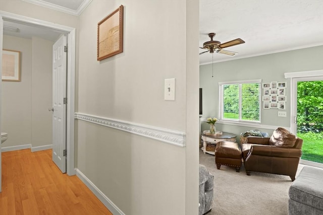 26 Gaslight Ln Unit 26, Easton, MA 02356 - hallway with ornamental molding, plenty of natural light, light wood finished floors, and baseboards