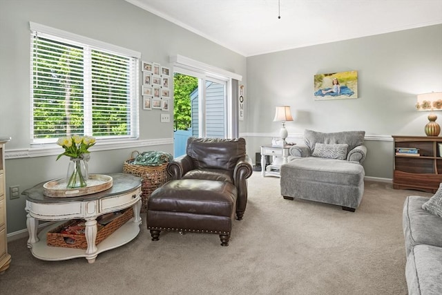 26 Gaslight Ln Unit 26, Easton, MA 02356 - living area with crown molding and carpet